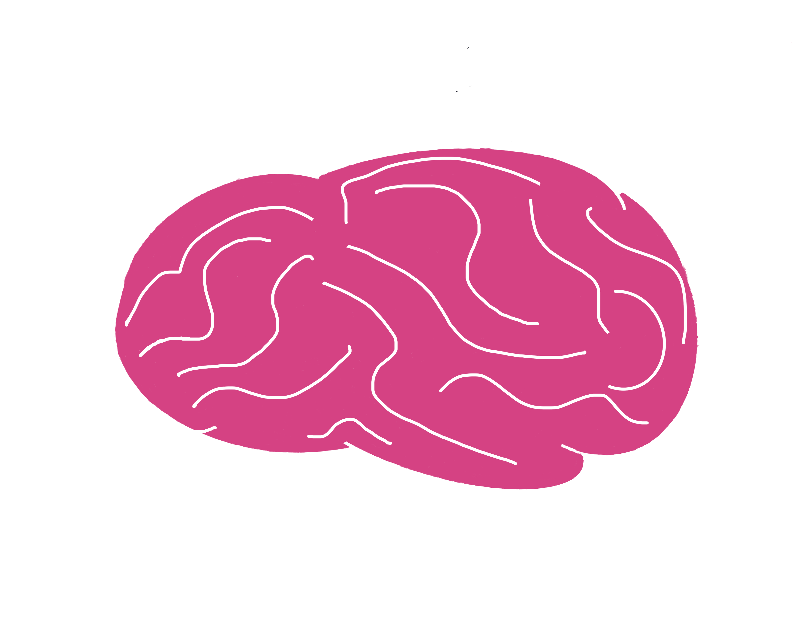 Image depicting a brain